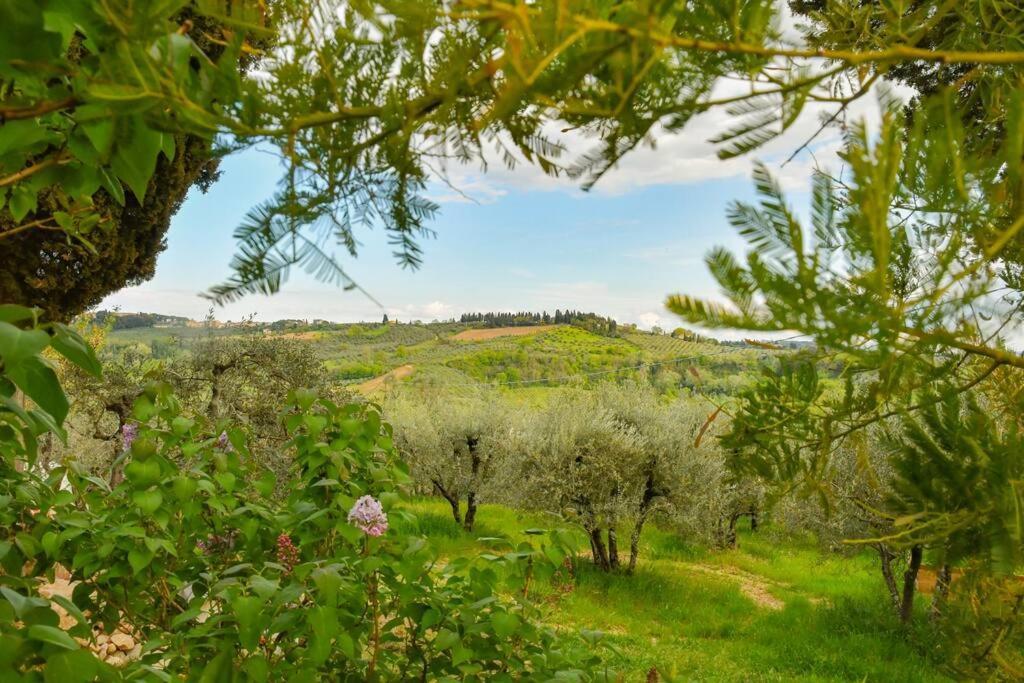 Casetta Rustica Nel Chianti San Donnino  Экстерьер фото